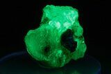 Extremely Fluorescent Hyalite Opal on Schorl - Nambia #287108-1